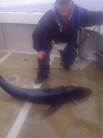 82 lb Blue Shark by Unknown
