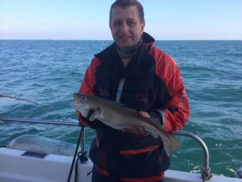 3 lb Whiting by Unknown