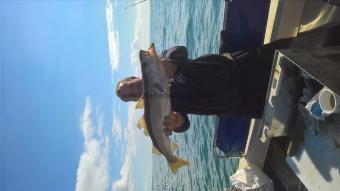 5 lb 8 oz Pollock by Stephen Wake