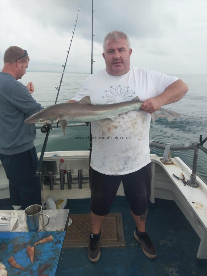 8 lb Smooth-hound by Unknown