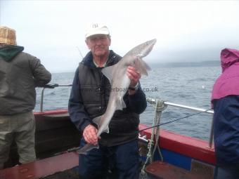 10 lb Starry Smooth-hound by Dennis the Engineer