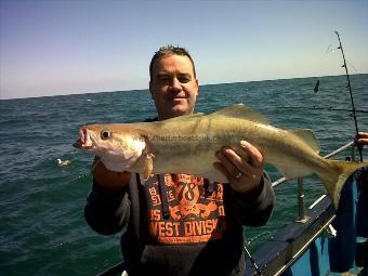 8 lb Pollock by steve