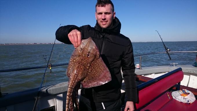 7 lb 4 oz Thornback Ray by Unknown