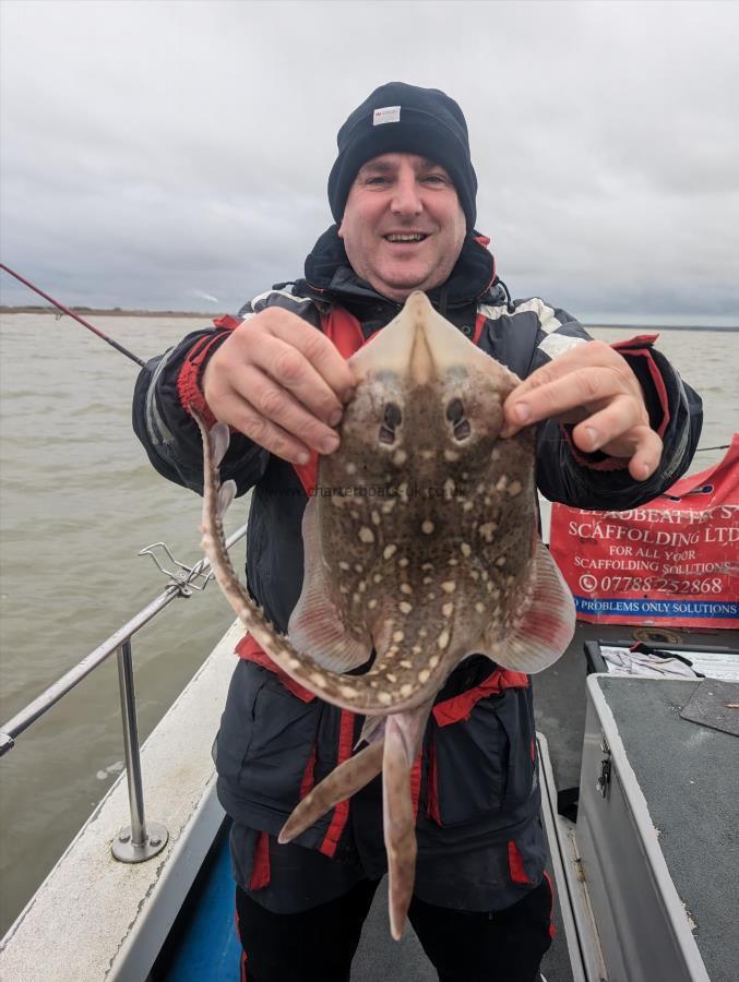 3 lb Thornback Ray by David