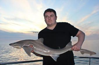15 lb Starry Smooth-hound by Martyn