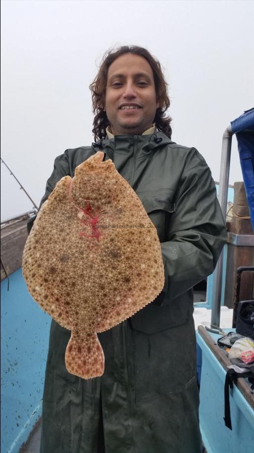 5 lb Turbot by Unknown