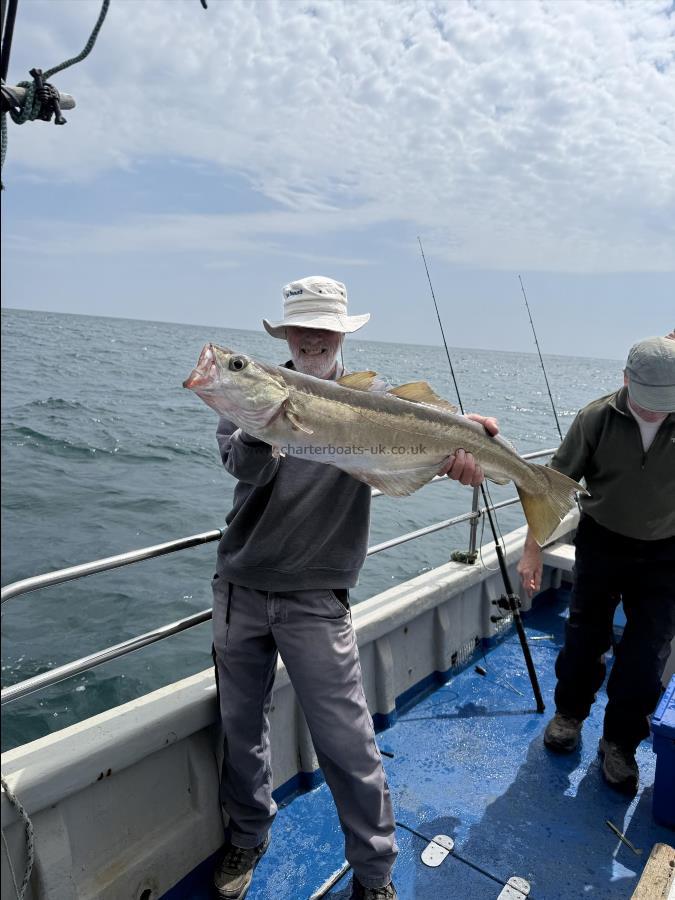 1 lb Pollock by Frank