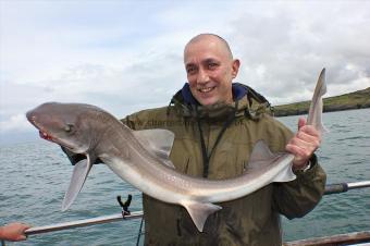 11 lb Starry Smooth-hound by Mark Hay