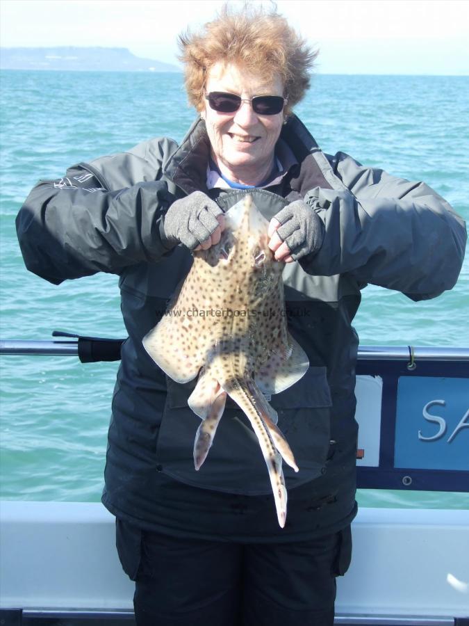 4 lb 10 oz Spotted Ray by Denise Youngs