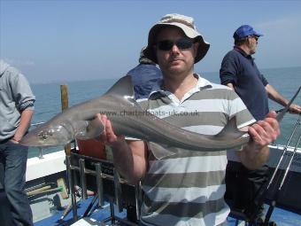 9 lb 2 oz Smooth-hound (Common) by terry