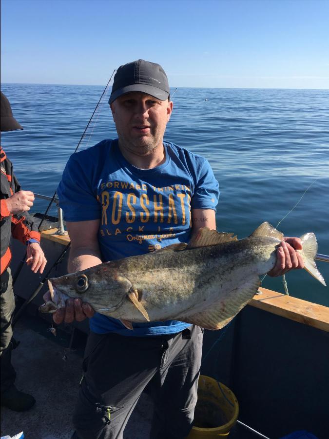 7 lb 12 oz Pollock by Unknown