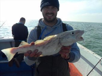 4 lb Cod by Dave