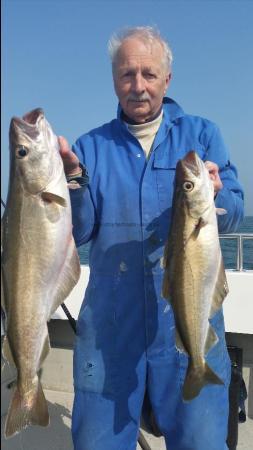 6 lb 10 oz Pollock by dave morris