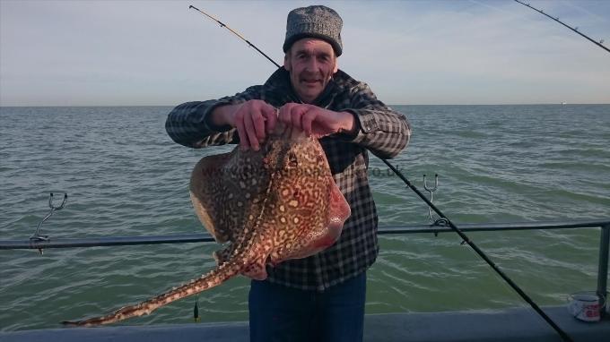 8 lb 8 oz Thornback Ray by Phil from sturry