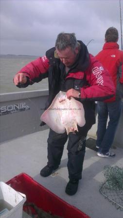 5 lb Thornback Ray by john from broadstairs