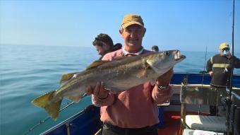 14 lb Pollock by Stephen Wake