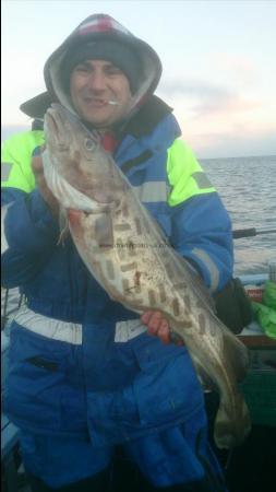 11 lb 8 oz Cod by juris