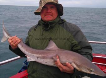 15 lb Smooth-hound (Common) by ian mccaig