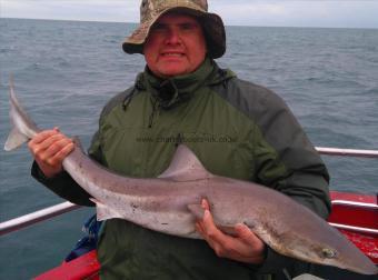 15 lb Smooth-hound by ian mccaig