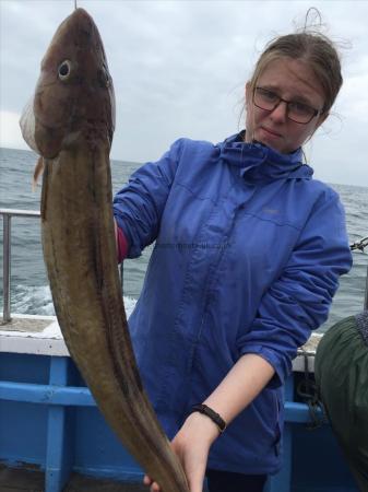 9 lb Ling by diana from felixtowe a ling 17/8/2016