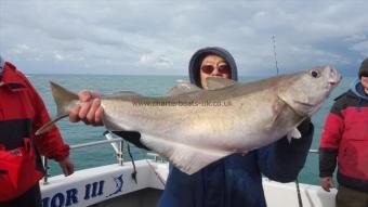 15 lb Pollock by ron