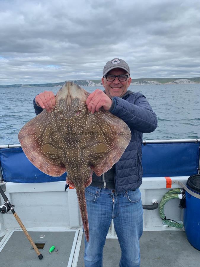 12 lb Undulate Ray by Steven