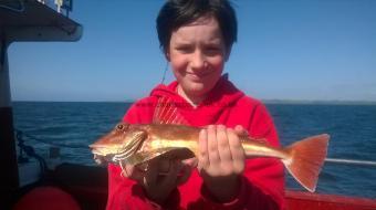 1 lb 6 oz Tub Gurnard by kai