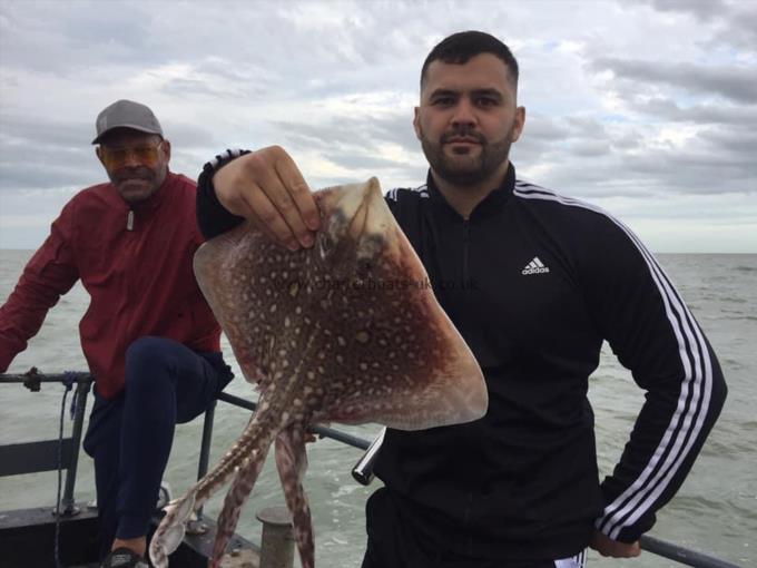 4 lb Thornback Ray by Unknown