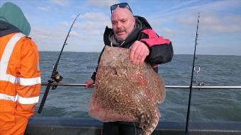 10 lb Thornback Ray by Matt from colchester