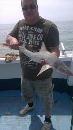 8 lb 5 oz Smooth-hound by dave