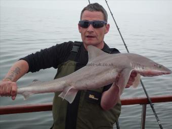 10 lb 10 oz Starry Smooth-hound by Dale Roberts