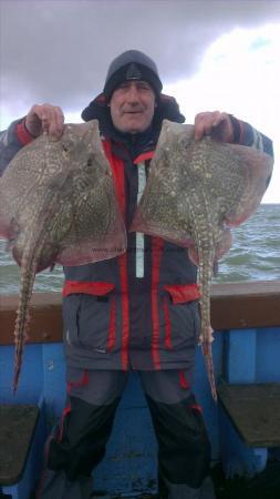 7 lb 4 oz Thornback Ray by mark from ramsgate