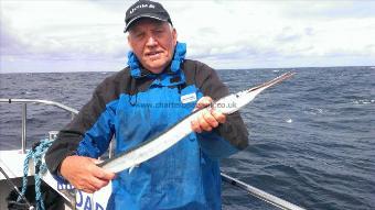 1 lb 8 oz Garfish by Andy Truelove