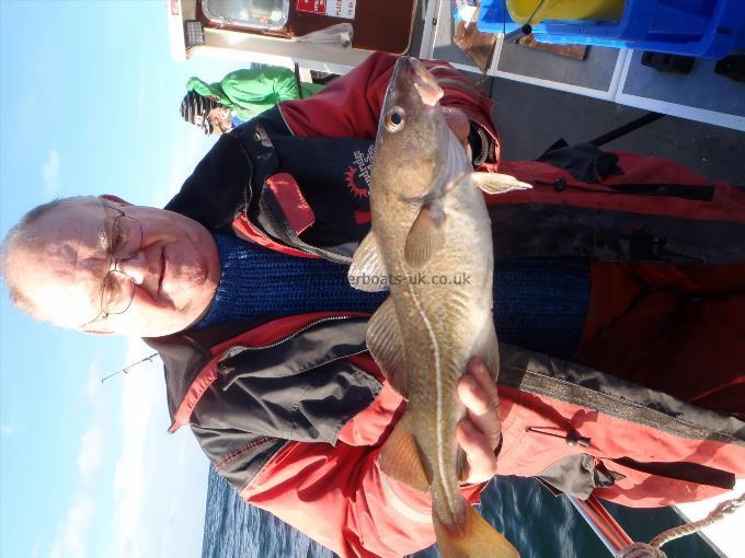 3 lb Cod by Unknown