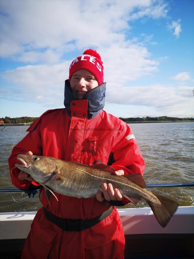 6 lb 5 oz Cod by Unknown