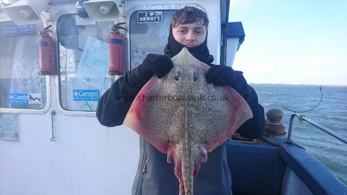 7 lb 5 oz Thornback Ray by Arran from herne bay