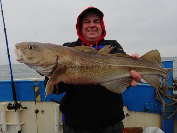 6 lb 7 oz Cod by Unknown