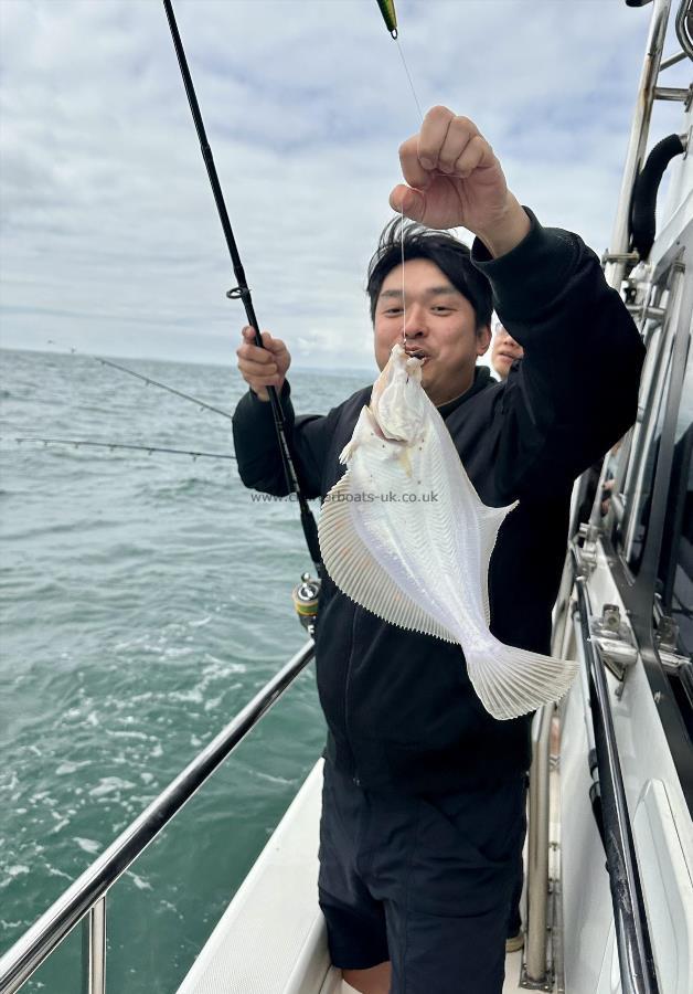 2 lb 4 oz Plaice by Unknown