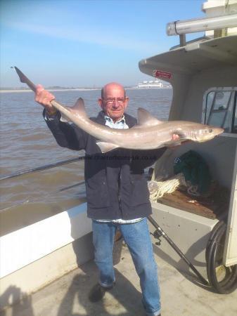 15 lb 8 oz Smooth-hound (Common) by billy furnish