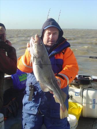 7 lb 8 oz Cod by Paul Maris