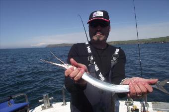 2 lb 2 oz Garfish by Unknown