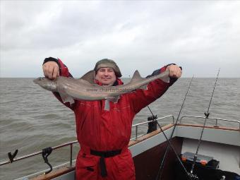 6 lb Smooth-hound (Common) by Unknown