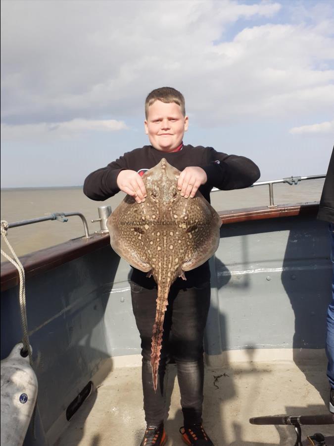 9 lb Thornback Ray by Teddy Rawe