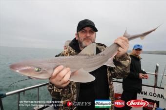 6 lb Starry Smooth-hound by Pete