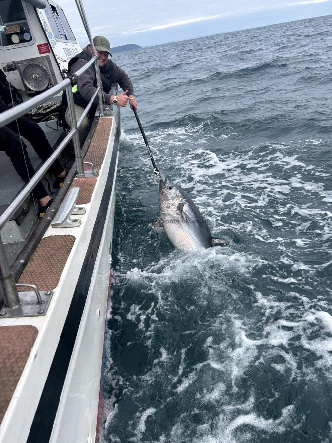 200 lb Bluefin Tuna by Unknown