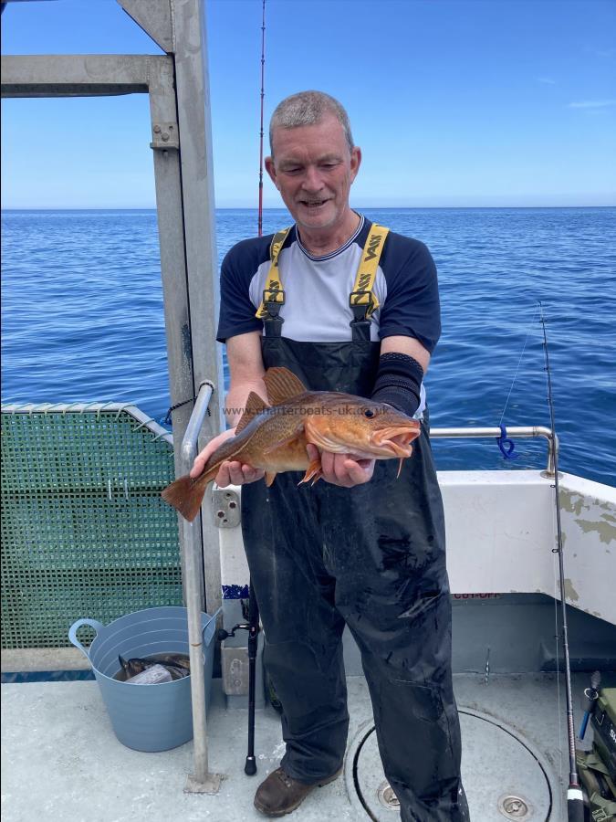 4 lb Cod by Daves rock cod