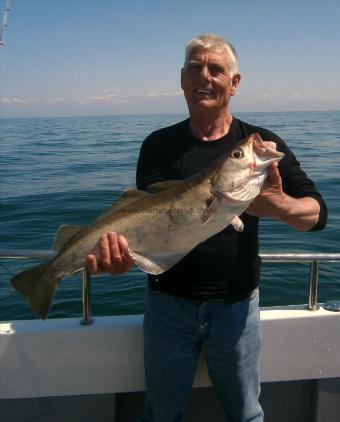 13 lb 8 oz Pollock by Terry