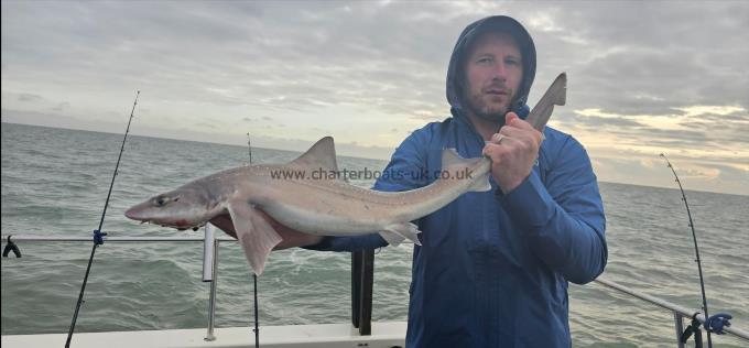 7 lb 8 oz Starry Smooth-hound by Gary