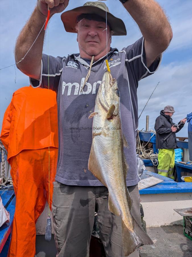 3 lb 5 oz Pollock by Unknown