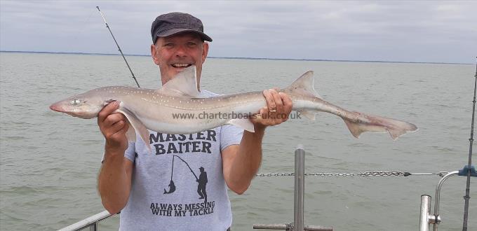 7 lb Starry Smooth-hound by Unknown